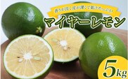 はぎファームのマイヤーレモン 5kg 【2025年10月～2026年1月下旬の期間で順次発送】 / レモン 国産 マイヤーレモン 数量限定 【hgf002A】