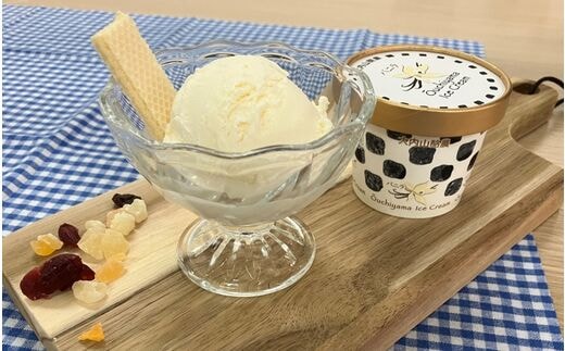 大内山アイスクリーム バニラ8個 アイス アイスクリーム バニラ セット 大内山 スイーツ 詰め合わせ 人気 おすすめ プレゼント【khy010B】