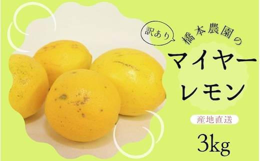【先行予約】橋本農園の 訳あり マイヤーレモン 3kg【2025年12月中旬から2026年1月中旬までに順次発送】 / レモン マイヤーレモン 檸檬 先行予約 家庭用 ご家庭用【mht008A】