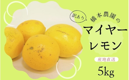 【先行予約】橋本農園の 訳あり マイヤーレモン 5kg【2025年12月中旬から2026年1月中旬までに順次発送】 / レモン マイヤーレモン 檸檬 先行予約 家庭用 ご家庭用【mht015】