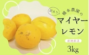 【先行予約】橋本農園の 訳あり マイヤーレモン 3kg【2025年12月中旬から2026年1月中旬までに順次発送】 / レモン マイヤーレモン 檸檬 先行予約 家庭用 ご家庭用【mht008A】