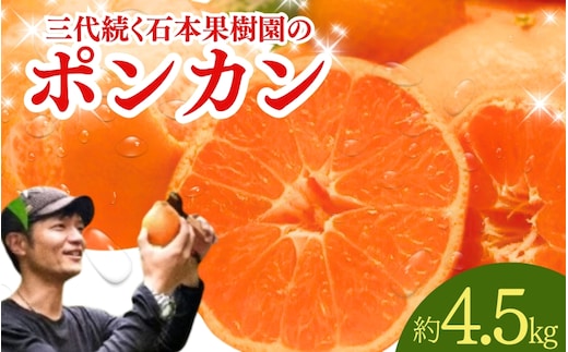 【先行予約】石本果樹園の美味しい ポンカン 約4.5kg 20～25玉前後【2026年1月初旬から２月初旬までに順次発送】 / みかん フルーツ くだもの 果物 ポンカン【min001B】
