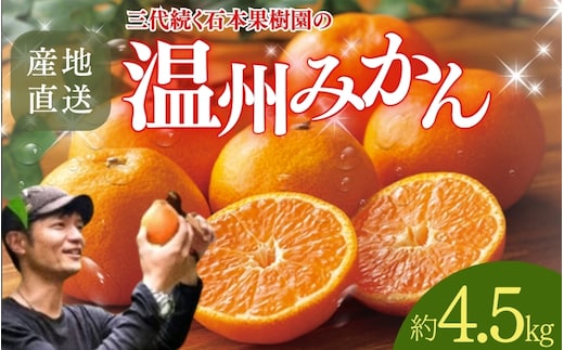 【先行予約】石本果樹園の美味しい温州みかん 約4.5kg 35～40玉前後【2025年11月初旬から1月下旬までに順次発送】 / みかん フルーツ くだもの 果物 温州みかん【min005B】