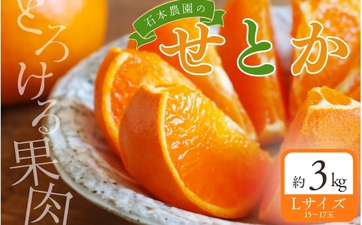 【先行予約】Lサイズ 15～17玉 石本農園のハウスせとか 約3kg【2027年2月中旬から下旬に順次発送予定】【mis022】