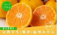 訳あり Lサイズ 前元農園の完熟早生(興津)温州みかん 10kg【2026年12月初旬～下旬に順次発送予定】【mmg023B】