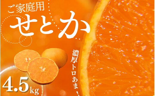 ご家庭用 たにぐち農園のせとか 4.5kg 大小混合【2026年3月から4月上旬までに順次発送】 / 家庭用 ご家庭用 せとか みかん 蜜柑 サイズ 不揃い【mtn012C】