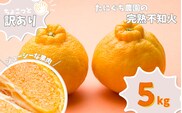 たにぐち農園の完熟不知火 ご家庭用 ちょこっと訳あり 5kg【2026年2月中旬から3月下旬までに順次発送】 / くだもの フルーツ 果物 わけあり 訳あり 家庭用 ご家庭用 不知火 みかん 蜜柑 デコポン【mtn010B】