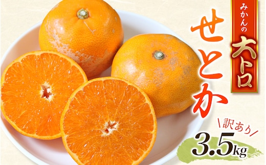 訳あり せとか 約3.5kg＋200g(傷み補償分) 大小混合【2027年2月下旬から順次発送予定】 / くだもの フルーツ 果物 大容量 せとか 家庭用 人気 みかん 蜜柑 わけあり 数量限定【njb682B】