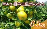 ＼ たっぷり大容量 ／  訳あり 極早生温州みかん 6.5kg＋傷み保証分300g 2S～3Lサイズおまかせ 【2023年9月下旬から10月中旬までに順次発送】 / くだもの フルーツ 果物 大容量 家庭用 人気 みかん 蜜柑 わけあり 極早生みかん 数量限定【njb690】