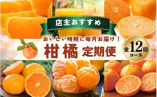 【全12回】 柑橘 定期便 石本果樹園 店主おすすめの柑橘セットを毎月お届け！ / フルーツ 果物 くだもの 柑橘 フルーツ定期便 くだもの定期便 定期便 フルーツセット くだものセット みかん ミカン 温州みかん 不知火 せとか セミノール ポンカン カラマンダリン 甘夏 清見 オレンジ ジュース みかんジュース 果実飲料 産地直送 旬 人気 おすすめ 詰め合わせ お楽しみ 三重県 紀宝町【tkb507】