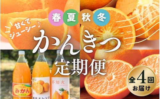 【全4回】 柑橘 定期便 石本果樹園 旬の柑橘を春夏秋冬でお届け！ / フルーツ 果物 くだもの 柑橘 フルーツ定期便 くだもの定期便 定期便 みかん ミカン 温州みかん せとか カラマンダリン みかんジュース 産地直送 旬 人気 おすすめ 三重県 紀宝町【tkb508】