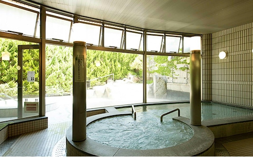 いぶき薬草湯入浴券（11枚綴り回数券） チケット 温泉利用券 