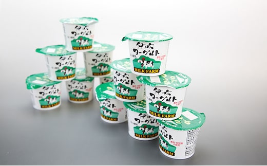 伊吹ヨーグルト（加糖）100g×12ヶ入 乳製品 加工食品 