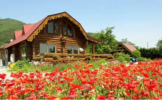 宿泊券 ペンションいぶき 滋賀 1泊2食付き 2名様 ペア チケット ログコテージ 宿泊チケット ペアチケット ペア宿泊券 旅行券 宿泊 旅行 観光 クーポン ホテル 滋賀県 米原市