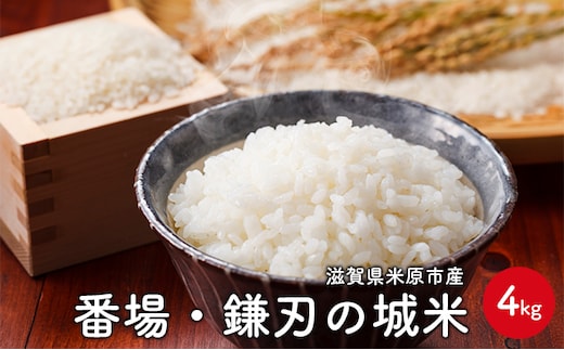 番場・鎌刃の城米 4kg お米 白米 精米 ライス ご飯 ブランド米 銘柄米 コシヒカリ 冷めてもおいしい お弁当 おにぎり 滋賀県産 米原市産 