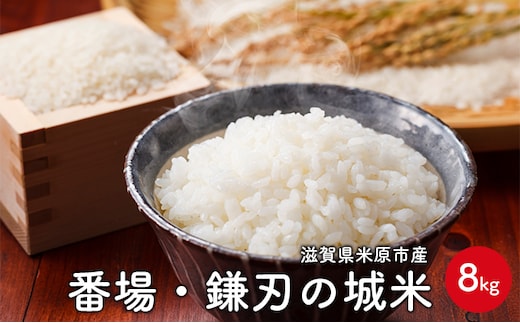 番場・鎌刃の城米 8kg お米 白米 精米 ライス ご飯 ブランド米 銘柄米 コシヒカリ 冷めてもおいしい お弁当 おにぎり 滋賀県産 米原市産 