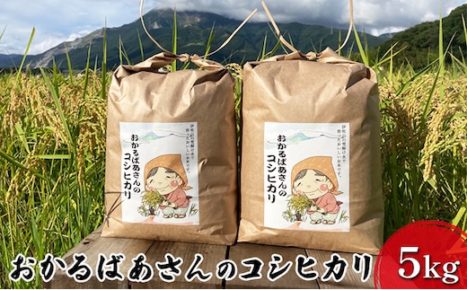 【令和8年産新米予約受付】おかるばあさんのコシヒカリ（5kg）