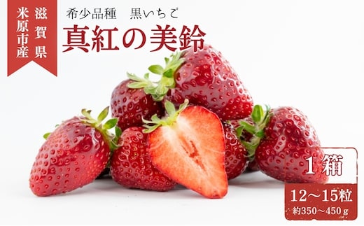 希少品種黒色いちご「真紅の美鈴（しんくのみすず）」 いちご 黒いちご 本州限定 苺 イチゴ 果物 フルーツ くだもの 国産 