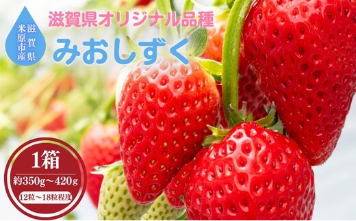 【本州限定】滋賀県オリジナルいちご「みおしずく」 果物 フルーツ デザート おやつ 甘い 酸味 とろける やわらかい 