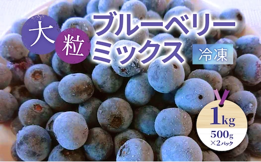 大粒ブルーベリーミックス（冷凍）1kg（500g×2パック）| ブルーベリー 果物 フルーツ 冷凍フルーツ ベリー類