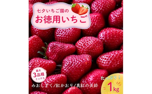 【最大3品種ミックス】【訳アリ】たっぷり1kgお徳用いちご ※2月上旬より順次配送 いちご イチゴ 苺 果物 フルーツ 滋賀県 米原市