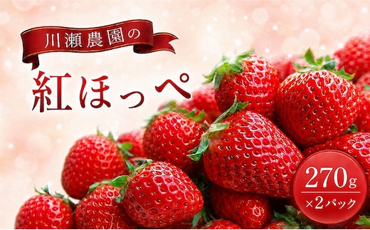 川瀬農園の紅ほっぺ 2パック