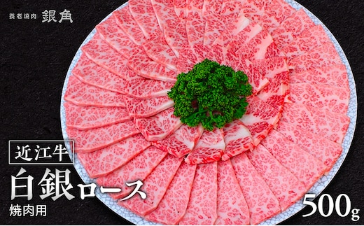 【近江牛】白銀ロース 焼肉用 500g 牛肉 お肉 国産 和牛 近江牛 滋賀県 米原市 ※12月以降お届け