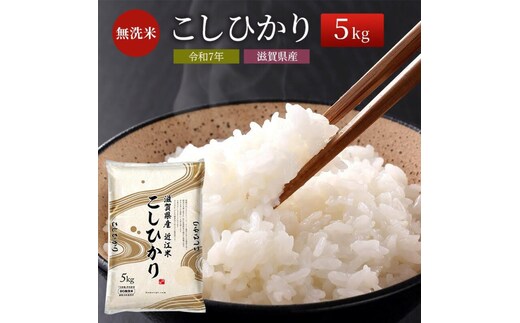 【令和7年産新米】滋賀県産こしひかり BG無洗米 5kg 無洗米 お米 コメ おこめ 白米 コシヒカリ