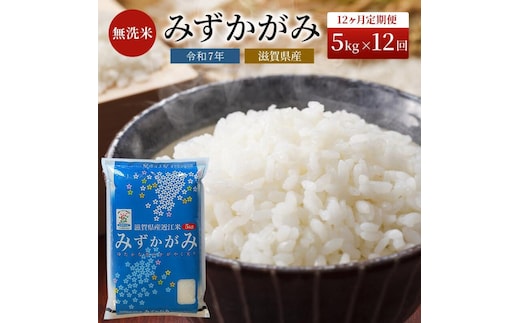 【令和7年産新米】滋賀県産 定期便 12ヶ月 みずかがみ BG無洗米 5kg ふるさと応援特別米 無洗米 お米 こめ コメ おこめ 白米 12回 お楽しみ