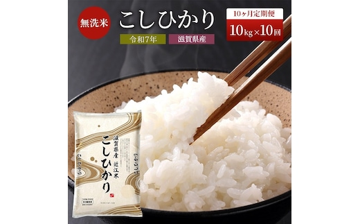 期間限定寄附額 米 定期便 10kg 10ヶ月 コシヒカリ BG無洗米 令和7年産 無洗米