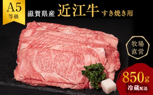 【近江牛 西川畜産】A5ランク雌牛 すき焼用 約850g（モモ・カタ・ウデ・バラ系等） ふるさと納税 すき焼き a5 牛肉 お肉 ブランド牛
