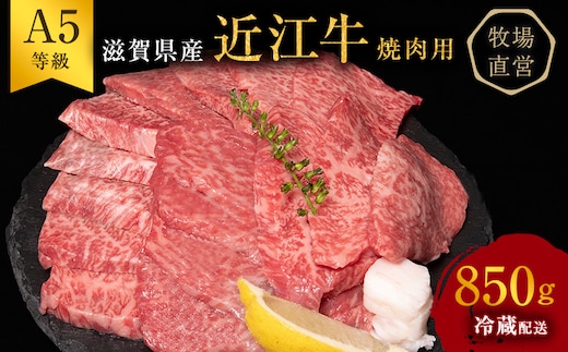 【近江牛 西川畜産】A5ランク雌牛 焼肉用 約850g （モモ・カタ・ウデ・バラ系等） ふるさと納税 お肉 牛肉 バーベキュー バラ(カルビ) ブランド牛
