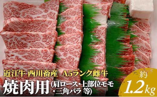 【近江牛 西川畜産】A5ランク雌牛 焼肉用 約1.2kg （肩ロース・上部位モモ・三角バラ等） ふるさと納税 お肉 牛肉 バーベキュー ブランド牛
