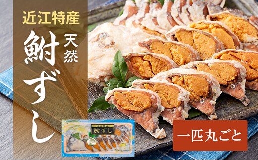 鮒ずし 天然ニゴロブナ ふなずし 1匹 スライス 丸ごと 鮒寿司 ふな寿司 発酵食品 なれずし 郷土料理 滋賀名物 近江特産 ご当地 名物 加工食品 鮒 フナ 魚 魚介 魚介類 