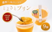 プリン 受賞多数  かぼちゃプリン セット とよさとプリン満足セット（9個入り） お菓子 菓子 おやつ スイーツ デザート 詰め合わせ【農林水産大臣賞受賞】 