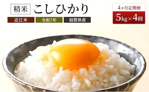 【定期便】令和7年産 豊かな郷の近江米（コシヒカリ）5kg×4ヶ月連続 お米 4回 箱入り 