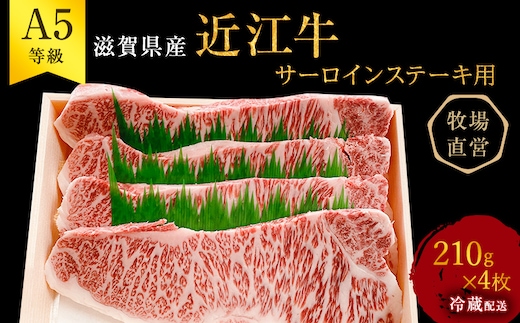 【近江牛 西川畜産】A5ランク雌牛 サーロインステーキ用 約210g×4枚 ふるさと納税 a5 お肉 牛肉 ブランド牛