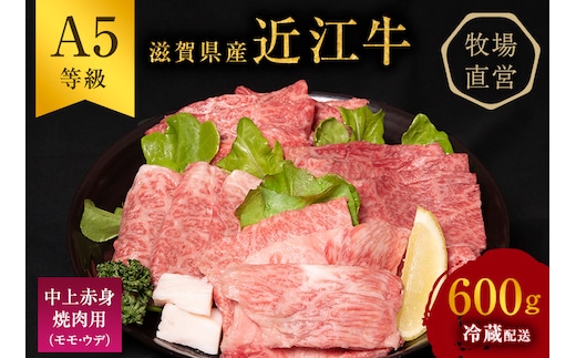 近江牛 焼肉 中上赤身焼肉用 約600g A5 雌牛 西川畜産 牛肉 黒毛和牛 焼き肉 焼肉用 バーベキュー 赤身 肉 お肉 牛 和牛 ブランド牛