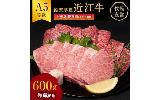 【近江牛 西川畜産】A5ランク雌牛 上赤身焼肉用 約600g ふるさと納税 お肉 牛肉 バーベキュー モモ ブランド牛