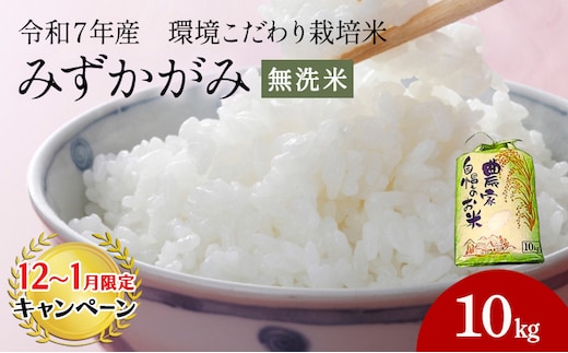 【12月～1月までの限定寄附額】 令和7年産みずかがみ 無洗米（環境こだわり栽培米）10kg お米 CP1201