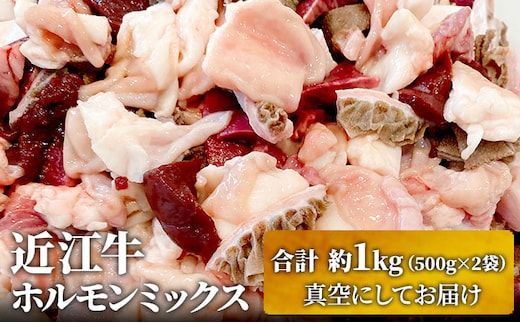 近江牛ホルモンミックス 合計約1kg ふるさと納税 お肉 もつ鍋 