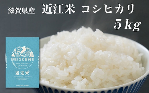 【令和7年産】 特A受賞歴 米 近江米 コシヒカリ 白米 5kg お米 こしひかり 滋賀県 豊郷町