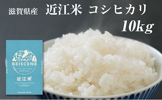 【令和7年産】 特A受賞歴 米 近江米 コシヒカリ 白米 10kg お米こしひかり 滋賀県 豊郷町