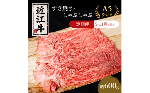 【肉の千石屋】【定期便:9～11月お届け】3ヶ月連続お届け近江牛A5ランクすき焼き しゃぶしゃぶ約600g 肉 近江牛 牛肉 すき焼き しゃぶしゃぶ モモ 肩ロース ロース 和牛 国産 滋賀県