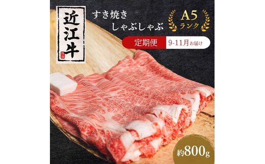 【肉の千石屋】【定期便:9～11月お届け】3ヶ月連続お届け近江牛A5ランクすき焼き しゃぶしゃぶ約800g 肉 近江牛 牛肉 すき焼き しゃぶしゃぶ モモ 肩ロース ロース 和牛 国産 滋賀県