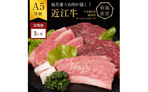 【近江牛 西川畜産】【3か月定期便】近江牛A5ランク雌牛 毎月違う肉が届く!近江牛味わいセット