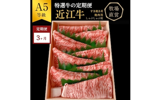 【近江牛 西川畜産】【3か月定期便】近江牛A5ランク雌牛 特選牛の定期便