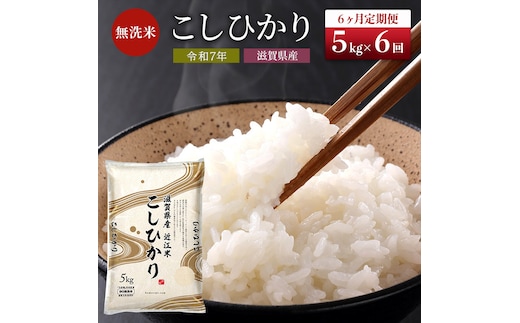 【令和7年産新米】滋賀県産 定期便 6ヶ月 こしひかり BG無洗米 5kg 無洗米 お米 コメ おこめ 白米 コシヒカリ 6回 お楽しみ