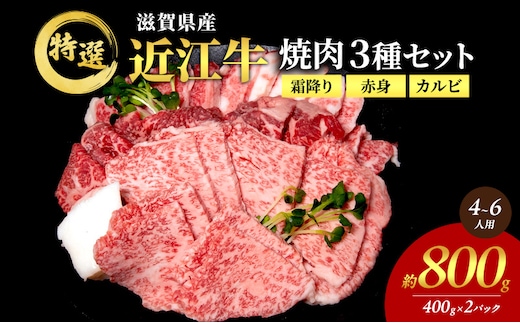 【大容量！】近江牛 特選 焼肉 3種盛り 約800g(4～6人用) 国産 牛肉 牝牛 ブランド牛 2パック 滋賀県 豊郷町 BBQ バーベキュー