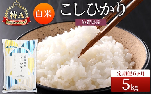 コシヒカリ 白米 5kg 定期 6回 米 コメ お米 こめ 精米 こしひかり 滋賀県 豊郷町